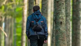 Quiet Routes Can Make Sensory Awareness Easier During Mindful Walking: Present-Moment Attention