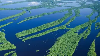 Climate extremes hit India's rivers