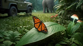 Related Stories banner