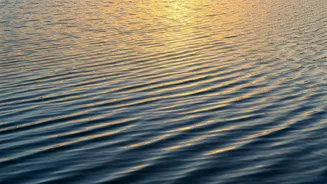 Pisces: Read Your October 23 Daily Horoscope