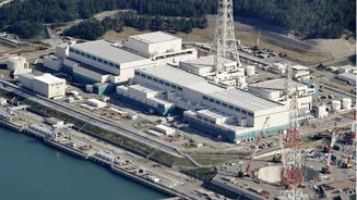 Japan's biggest nuclear plant to restart 15 years after Fukushima