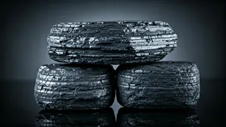 Decoding the Bharat Coking Coal IPO: What Investors Need to Know