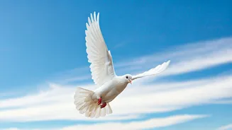 Related Stories banner