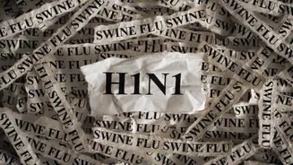 Delhi H1N1 cases jump to 1,344 from 229, doctors warn
