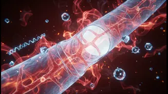 Blood Vessels, Inflammation And Weight Maintenance Could Decide Whether Exercise And Weight-Loss Medication Research Succeeds