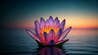 Michelle Obama's Relationship Blueprint: Trust Your Gut, Elevate Your Life