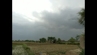 How El Niño Impacts Rural Demand in India