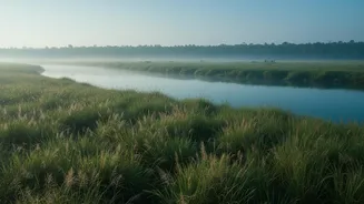 Assam's Kaziranga Eco-Zone Plan Still Needs Central Approval