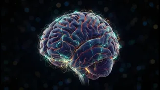 Why moving beyond traditional assumptions via cerebellar discovery opens new surgical options