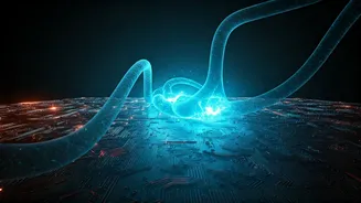 AI Learning Gains Massive Popularity