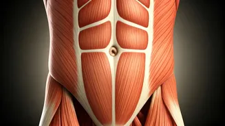 Crunches Aren't Enough to Lose Belly Fat