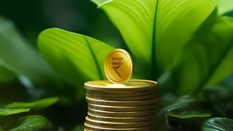 How Consistent Small SIPs In Low Cost Funds Deliver Powerful Returns Over Decades