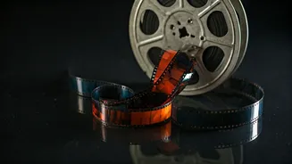 Deewana: The Film That Launched Shah Rukh Khan's Reign