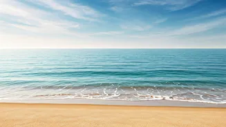 Exploring the Hidden Wonders of Navi Mumbai