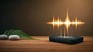 Calming Audio Frequencies Meet Deep Indian Pranayama In New Workouts
