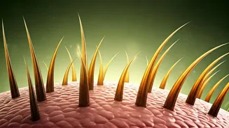 Scalp Care Is The New Hair-Care Main Character