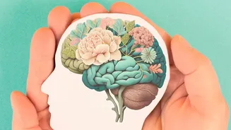 New Memory Research Puts Brain Activity In Focus