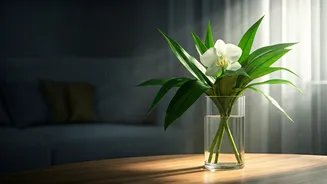 Freshness Is The Monsoon Decor Upgrade That Matters