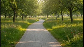 A Gentle Walk After Food Can Add Consistency To Weekly Movement