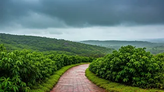 Monsoon Travel Gives Goa A Slow Reset