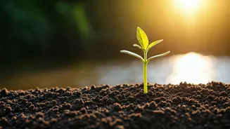 Natural Farming: Maharashtra Governor Champions Soil, Water, and Health Protection