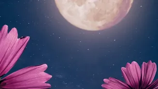 Indian Stargazers Can See The Harvest Moon On September 26
