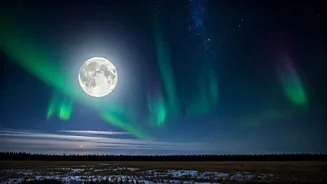 Stargazing Alert: January's Wolf Moon & Solar Storms