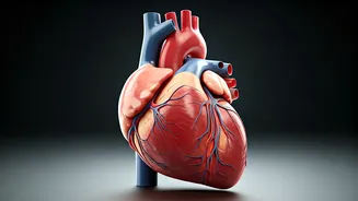 10 Healthy Habits: Extend Your Life by a Decade!