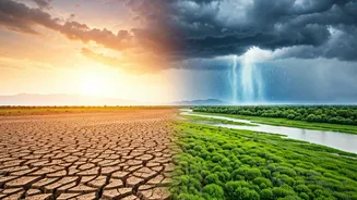 India's Rainy Season Has A New Favourite