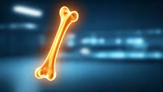 Baffled by Low Vitamin D? Uncover Sun Exposure Mistakes & Absorption Hurdles