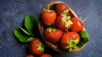 India's Strawberry Expansion Depends on Climate Resilience as Much as Demand