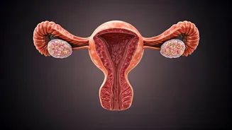 Unexplained Weight Gain: Decoding Women's Health Signals