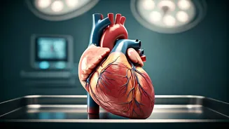 Unlocking Heart Health: Essential Insights for Indians