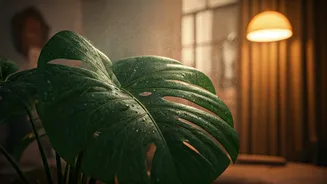 Unlock Thriving Indoor Plants: The 5 Amazing Benefits of Misting Your Greens