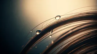 Monsoon Hair Fall Explained In Simple Words