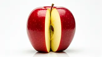 Longevity Tips: Embrace a Healthier, Longer Life