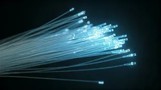 India's Economic Momentum: Key Trends Shaping 2026