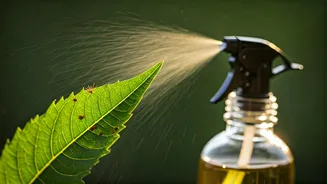 How To Defeat Common Garden Pests Using Organic Neem Solutions