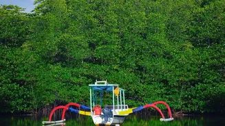 How Local Communities Along Eastern Seaboard Strengthen Mangrove Bio-Shields Against Violent Surges