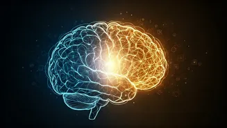 HabitWorks: An App to Reshape Negative Thought Patterns and Boost Mental Well-being