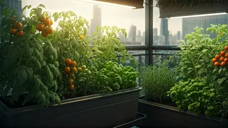 How Space Starved Delhi Flats Achieve Total Self Food Sufficiency