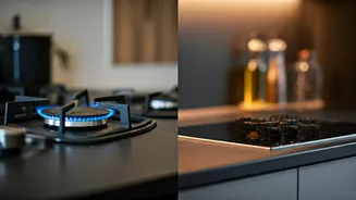 LPG vs. PNG in India: Your Ultimate Guide to Kitchen Fuel Choices & Supply Security