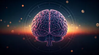 Unpacking the 5 AM Wake-Up Myth: A Neuroscientist's Perspective on Productivity