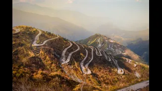 India and China Resume Border Trade Through Nathu La Pass