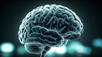 7 Ways Meditation Scientifically Enhances Your Brain's Function and Structure