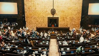 Related Stories banner