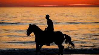 Horse Riding Adds An Adventurous Element To Portugal's Rural Tours