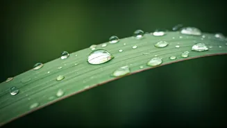 Rainy Season Skin Problems Explained By Experts