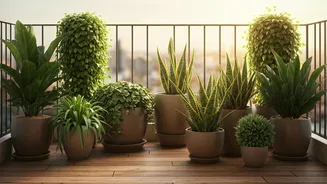 Low-Drama Plants Are Winning Summer Balcony Decor