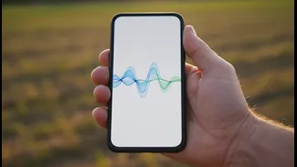 How 25 Indian regional dialects function enables voice searches for rural farmers